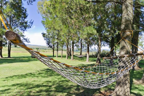 hammock-in-the-garden